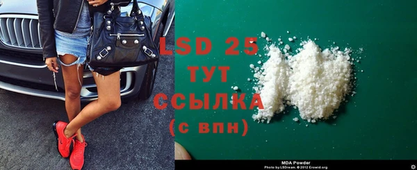 спиды Липки