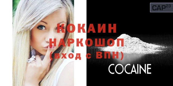 тгк Михайлов