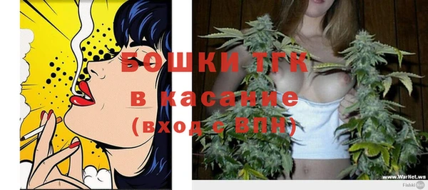 тгк Михайлов