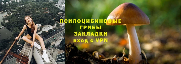 мдпв Михайловск