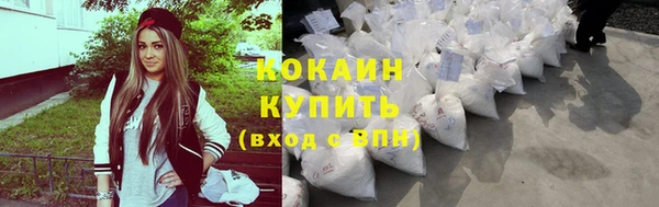 тгк Михайлов