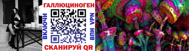 Псилоцибиновые грибы Psilocybe  Одинцово 