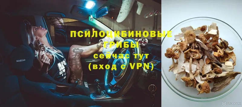 Псилоцибиновые грибы Magic Shrooms  МЕГА рабочий сайт  Одинцово  закладки 